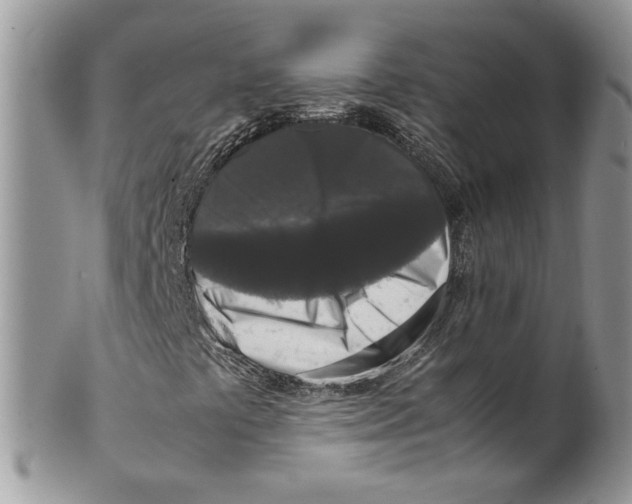 X0000099551441200806131201