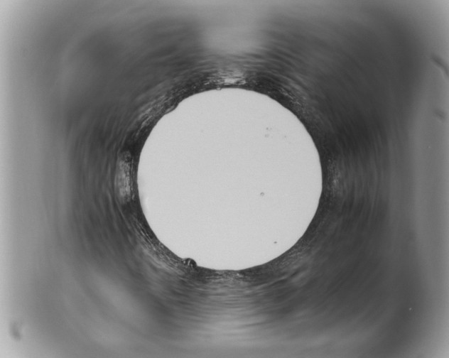 X0000099551442200806131201