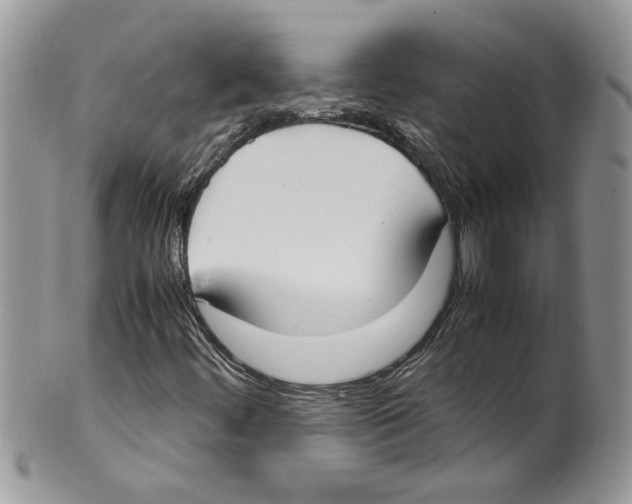 X0000099551444200806131201