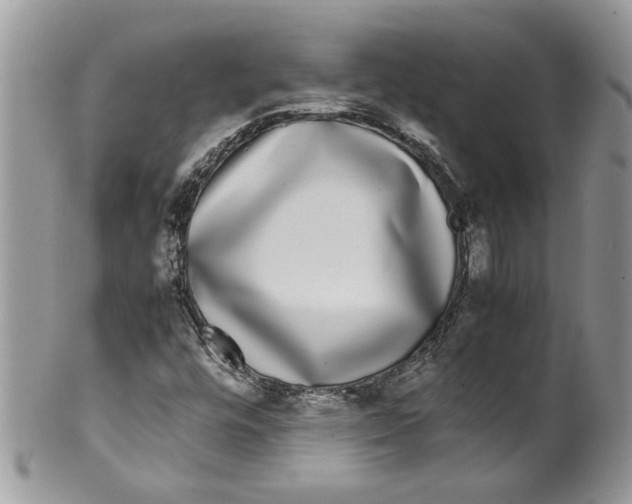 X0000099551448200806131201