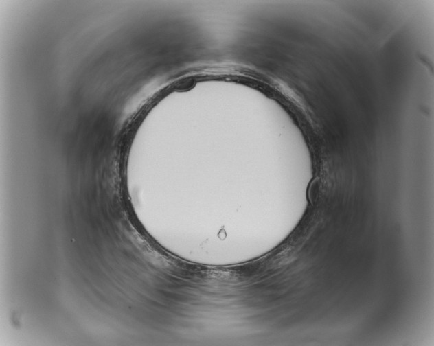 X0000099551456200806131201