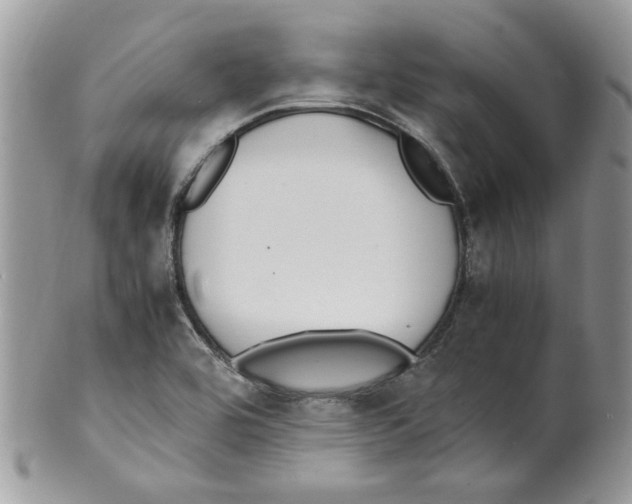 X0000099551464200806131201