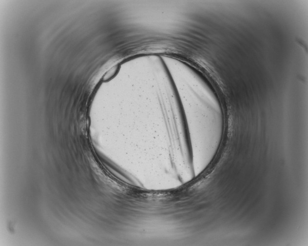 X0000099551465200806131201