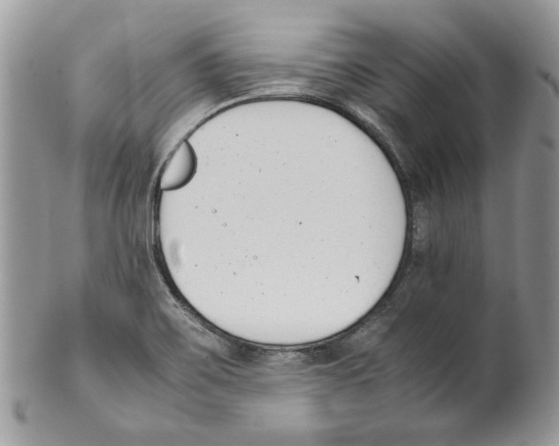 X0000099551467200806131201