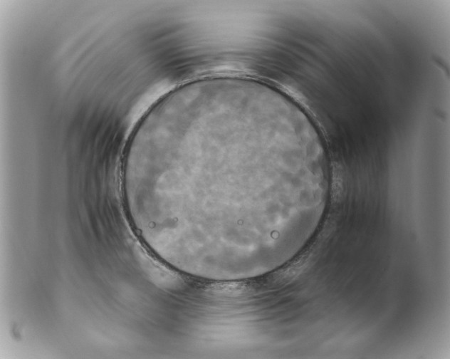 X0000099551474200806131201