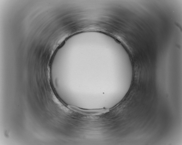 X0000099551476200806131201