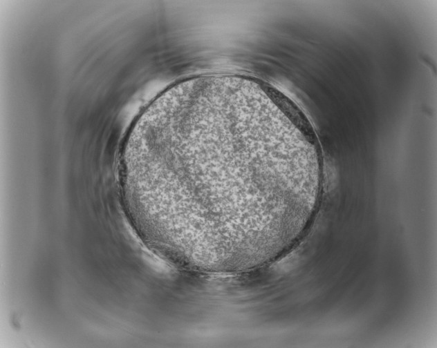 X0000099551477200806131201