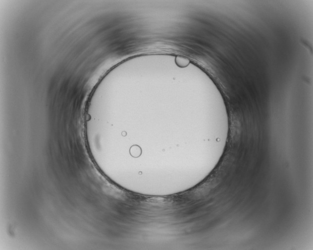 X0000099551478200806131201