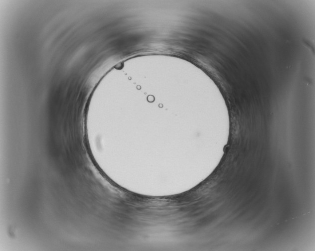 X0000099551479200806131201