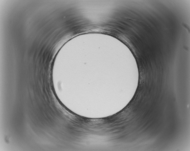 X0000099551483200806131201