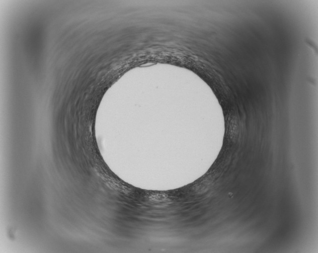 X0000099551489200806131200