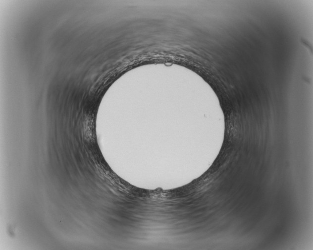 X0000099551490200806131200