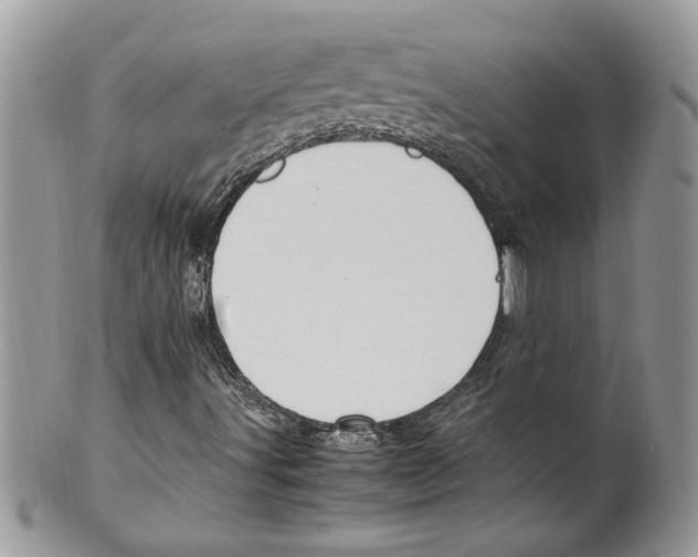 X0000099551491200806131200