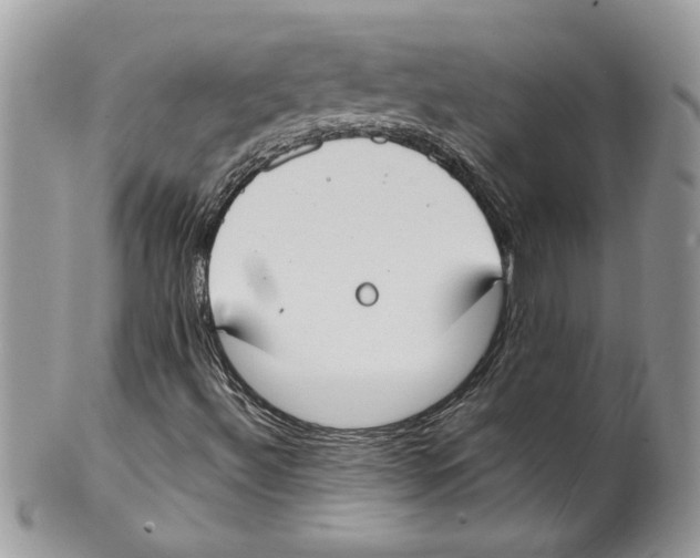 X0000099551492200806131200