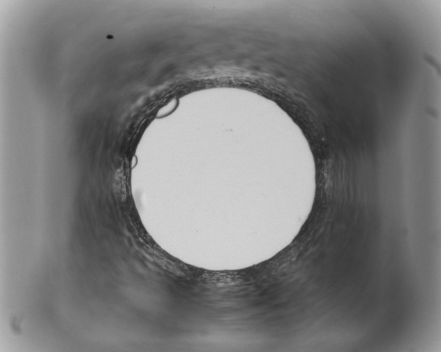 X0000099551493200806131200