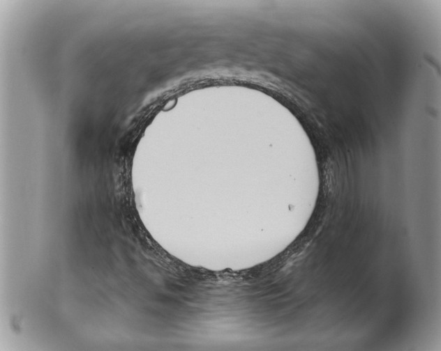 X0000099551494200806131200