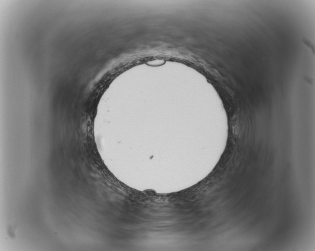 X0000099551495200806131200