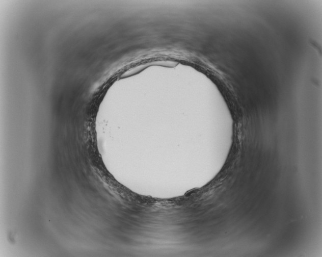 X0000099551496200806131200