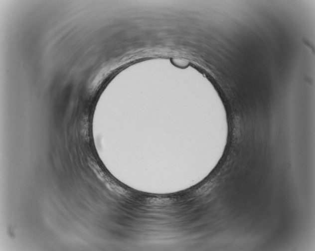 X0000099551499200806131200