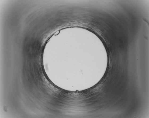 X0000099551500200806131200