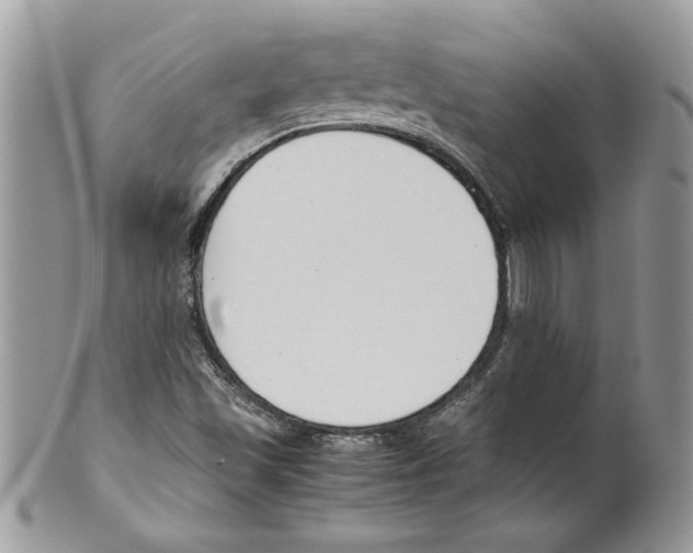 X0000099551501200806131200