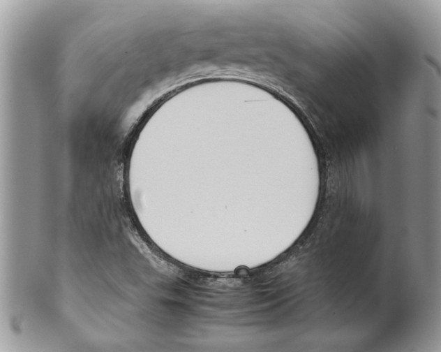 X0000099551503200806131200