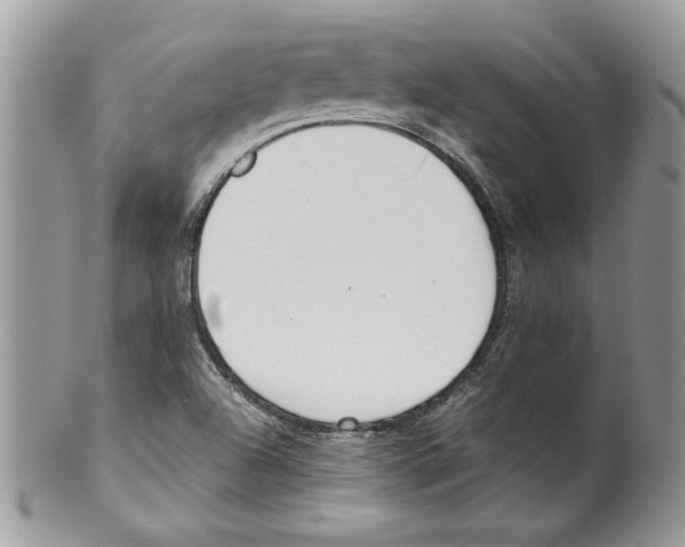 X0000099551504200806131200