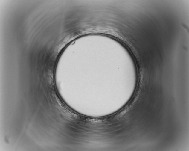 X0000099551505200806131200