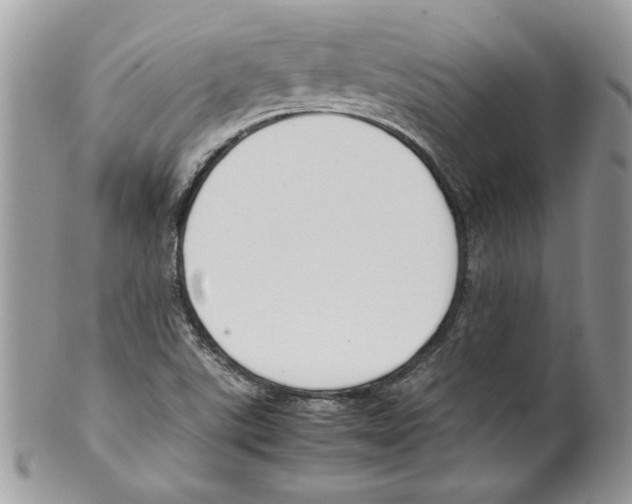 X0000099551507200806131200