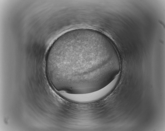 X0000099551508200806131200