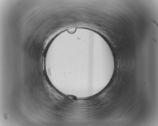 X0000099551510200806131200