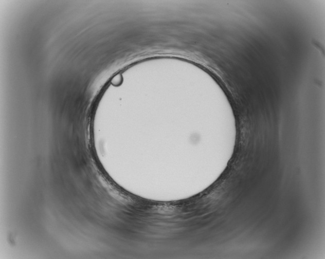 X0000099551511200806131200