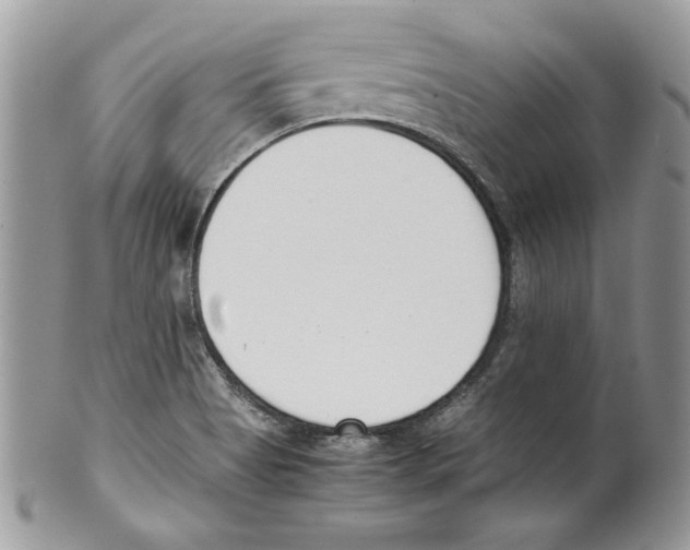 X0000099551513200806131200