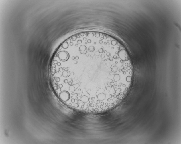 X0000099551514200806131200