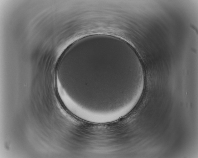 X0000099551515200806131200