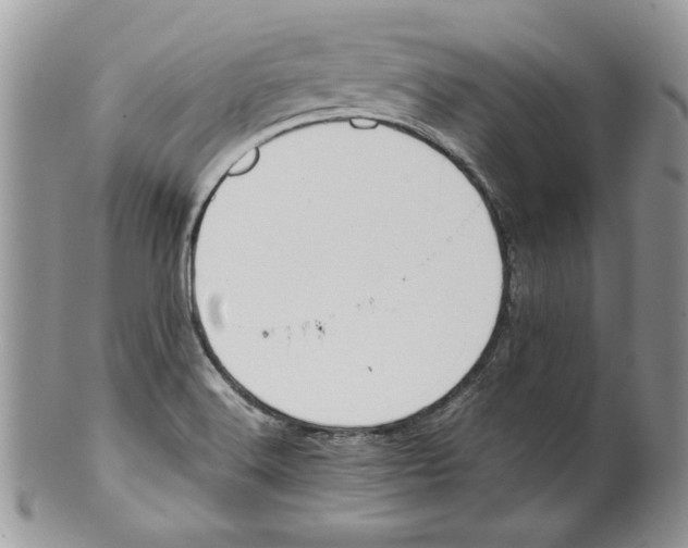 X0000099551516200806131200