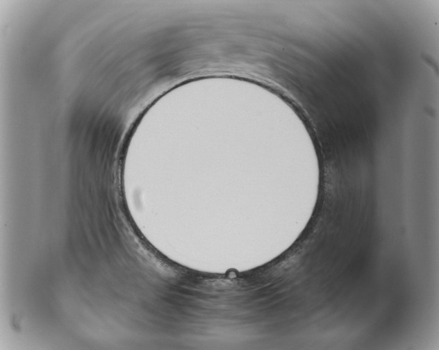 X0000099551517200806131200