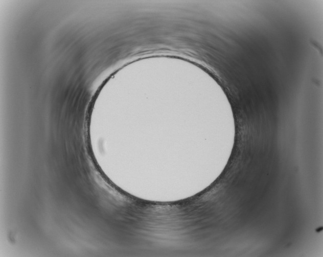 X0000099551518200806131200