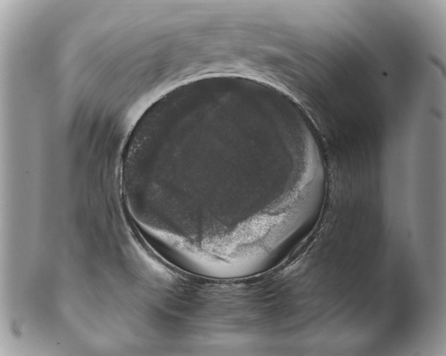 X0000099551519200806131200