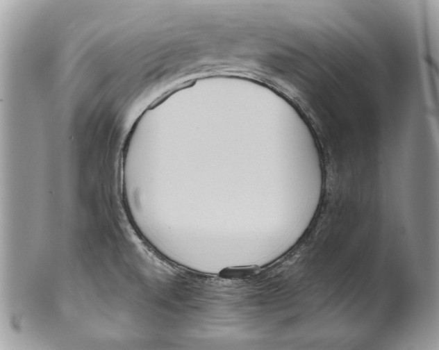 X0000099551520200806131200