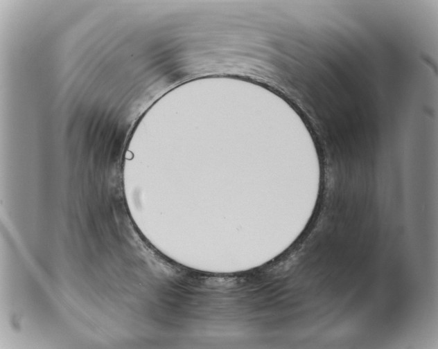 X0000099551521200806131200