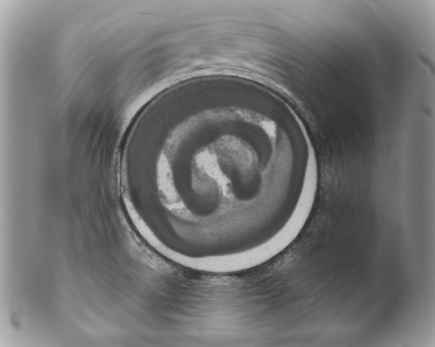 X0000099551522200806131200