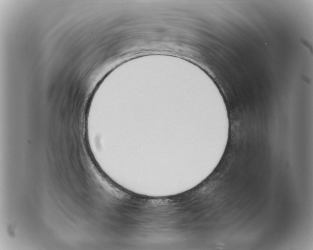 X0000099551523200806131200