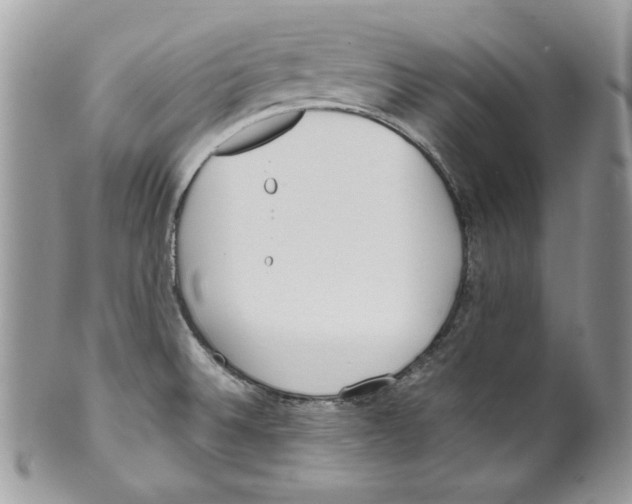 X0000099551524200806131200