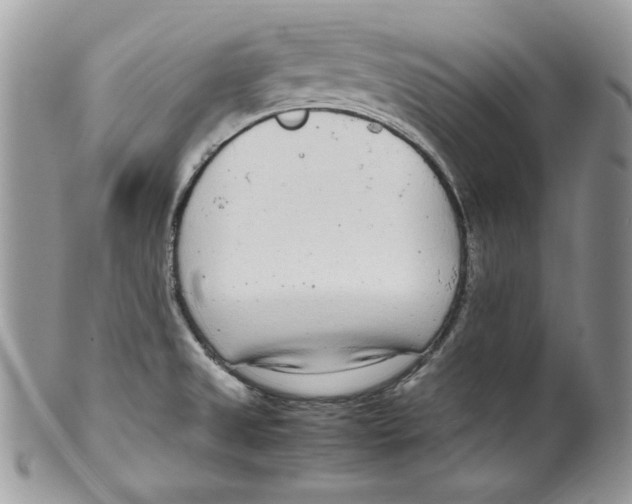 X0000099551525200806131200