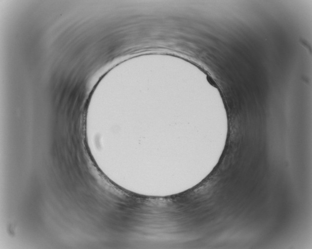 X0000099551526200806131200