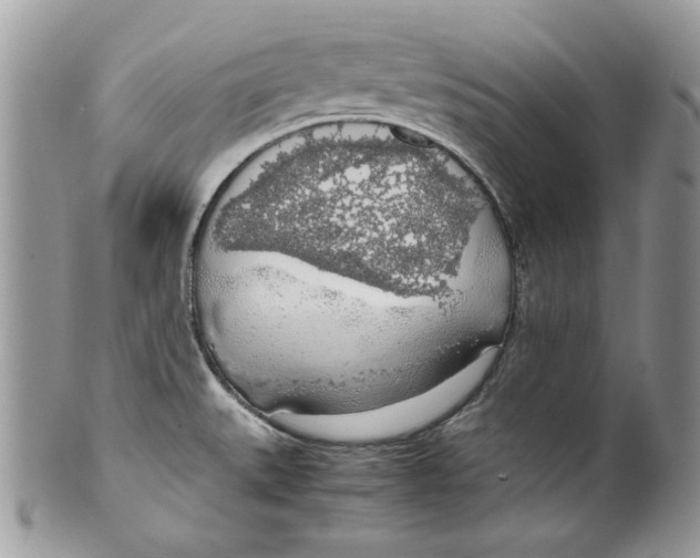 X0000099551527200806131201