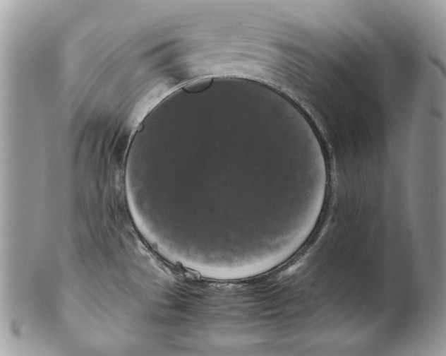 X0000099551529200806131201