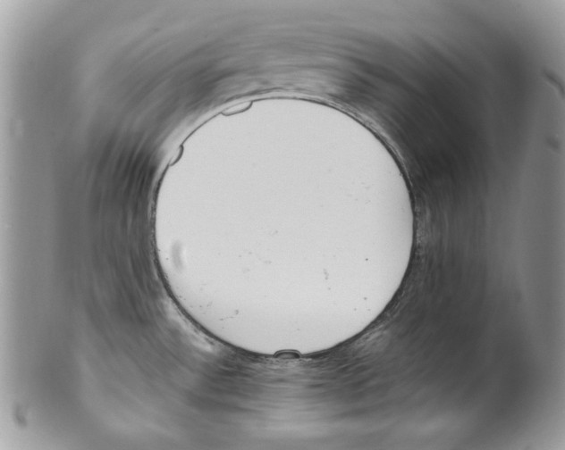 X0000099551532200806131201