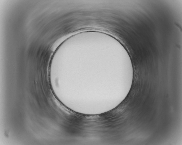 X0000099551535200806131201